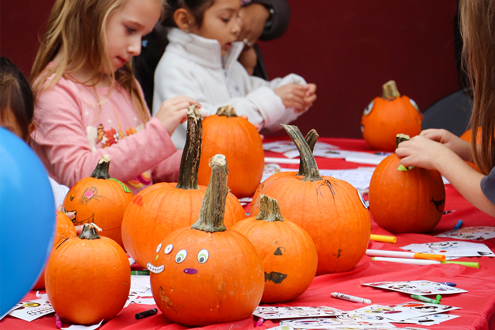 pumpkin decorating