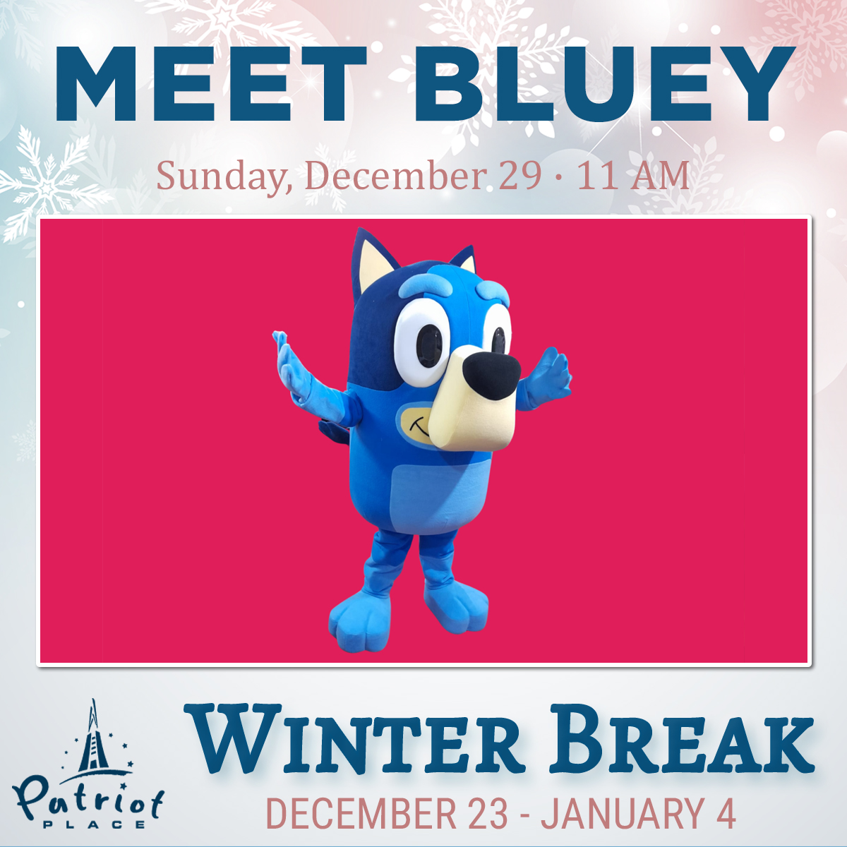 Meet Bluey at Patriot Place